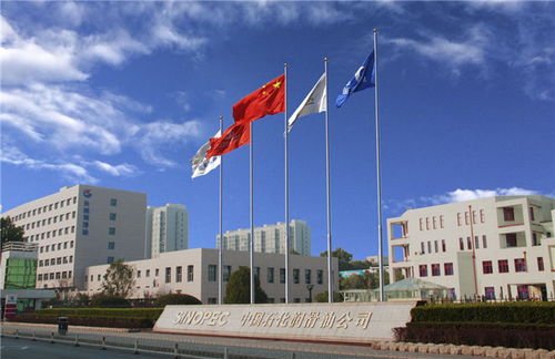 中國(guó)石化長(zhǎng)城潤(rùn)滑油榮獲國(guó)際首批全球最高標(biāo)準(zhǔn)汽油機(jī)油認(rèn)證，引領(lǐng)潤(rùn)滑油零售新標(biāo)桿